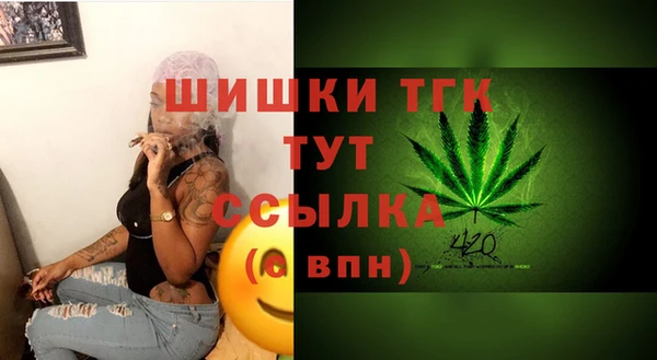 ешки Корсаков