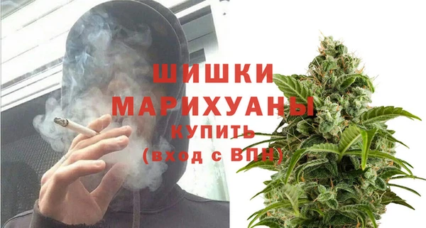 сатива Костерёво