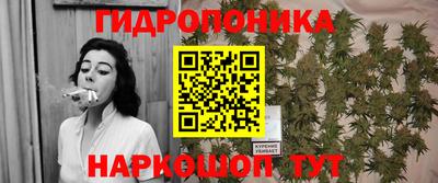 spice Ижевск