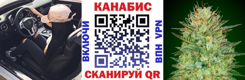 Марихуана план  Морозовск 